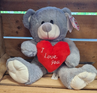 Love Heart Teddy