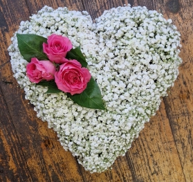 Gypsophila Heart