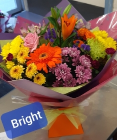 Bright Colour Flowers