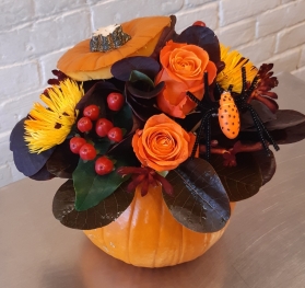 Pumpkin Arrangement